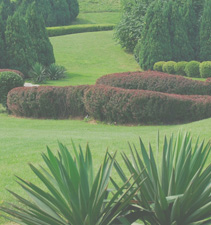 网络ddos监测分析工具