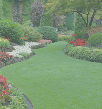 引领数字变革的DDOS网页端